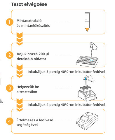 Kvanti teszt folyamata 111514.jpg